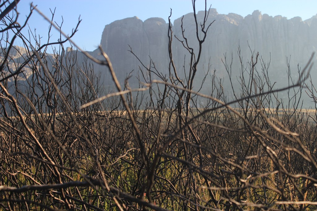 038C9204-AF30-4B0E-9FDE-B7DF1B54D011