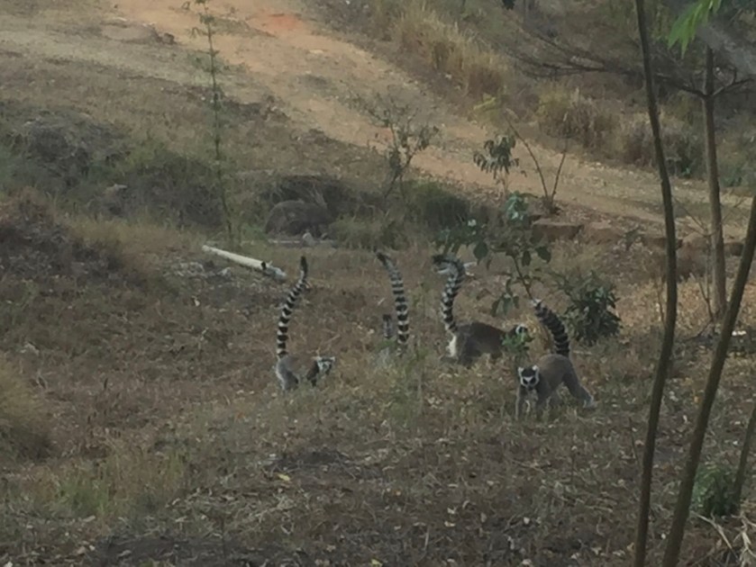 54A990B8-AF0A-453A-809A-29E18C61A725_1_105_c